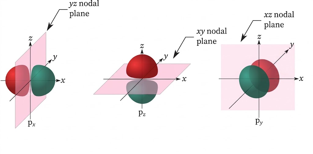 Dumbbell shaped p orbitals orientation